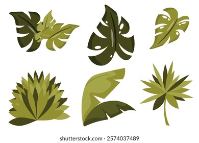 Set of beautiful exotic leaves in cartoon style. Vector illustration of different clusters of bush, tropical leaves with veins: monstera, palm leaves isolated on white background.Vegetation.Greenery.