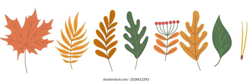 Conjunto de hermosas hojas de otoño que caen y agujas de pino aisladas sobre fondo blanco. Vector dibujado a mano ilustración de color plano. Árbol de arce, roble, serbal, hojas de viburnum decoraciones