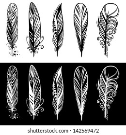 Set of beautiful feathers