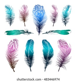 Set of beautiful feathers silhouettes isolated on white background. Boho style. Vector illustration.