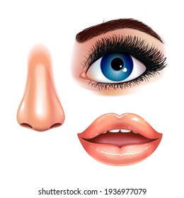 12,919 Nose clipart Images, Stock Photos & Vectors | Shutterstock