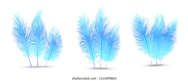 set of beautiful festive feathers isolated on white background