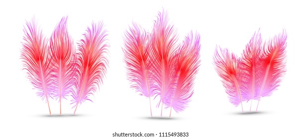 set of beautiful festive feathers isolated on white background