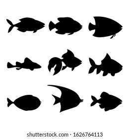 Set of beautiful fish, great design for any purposes. Vector image. Black element. Modern banner with black fish for concept design. Vector isolated outline drawing. Food concept. Contour drawing