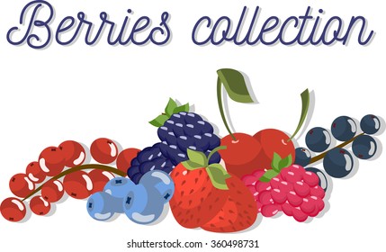 Set of beautiful flat vector berries