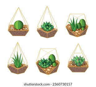 Set von schönem Florarium im Cartoon-Stil. Vektorgrafik von Glasflorarium verschiedener geometrischer Formen mit Sukkulenten und Kakteen, Aloe Vera, Steine einzeln auf weißem Hintergrund.