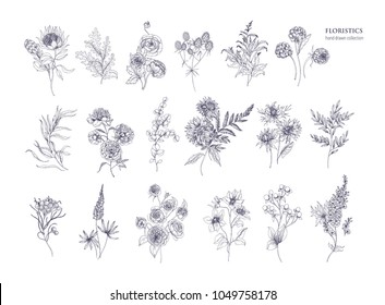 Set of beautiful floristic flowers, flowering plants and wild herbs hand drawn with black contour lines on white background. Bundle of elegant botanical decorations. Hand drawn vector illustration