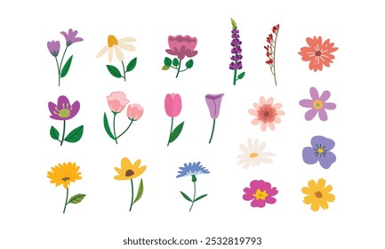 Set of Beautiful flower, floral elements, Romantic flower, elements for design label card poster frame, border, decorations art vector illustration