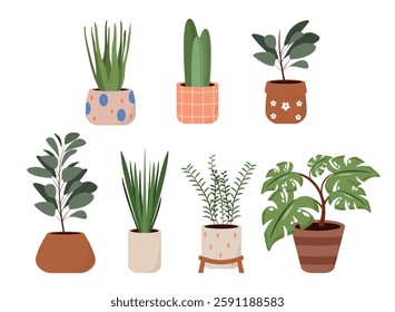 Set of beautiful flower pots in cartoon style.Vector illustration of houseplants in decorated pots with leaves of different sizes:aloe,cacti, ficus, monstera, sansevieria isolated on white background.