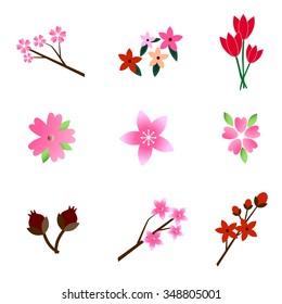 Set of beautiful flowers