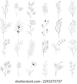 Set of beautiful flowers berries and branches in line style isolated on white background. Line art botanical drawing. Floral design boarders elements for wedding invitations. Vector Illustration.