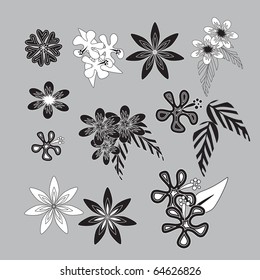 a set of beautiful flowers of different shapes