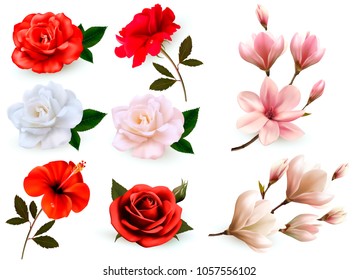 Set of a beautiful flowers isolated on a white background. Vector.