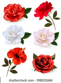 Set of a beautiful flowers isolated on a white background. Vector.