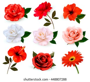 Set of a beautiful flowers isolated on a white background. Vector.