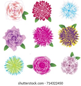 set of beautiful  flowers isolated on white background. Vector illustration. Clipart.