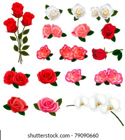 Set of a beautiful flowers on a white background. Vector.