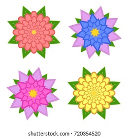 Set of beautiful flowers of various shades with green leaves isolated on white background. Four options. Suitable for design.