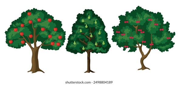 Set of beautiful fruit trees in cartoon style. Vector illustration of different trees with lush green crowns and brown trunks, branches: apple, pear, cherry isolated on white background. Summer time.