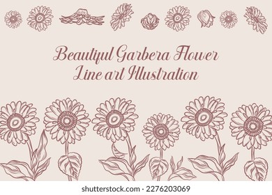 Set of Beautiful Gerbera Flower Line Art Illustration