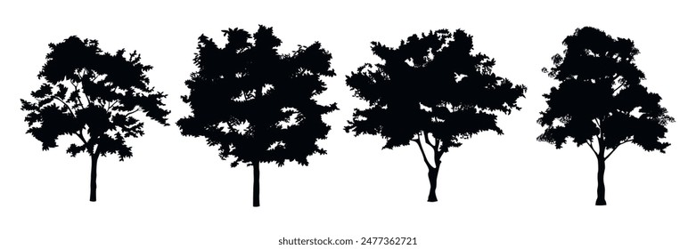 Set of beautiful graphic tree silhouettes in cartoon style. Vector illustration of silhouettes of trees of various species with a lush crown, branches, trunks isolated on a white background.