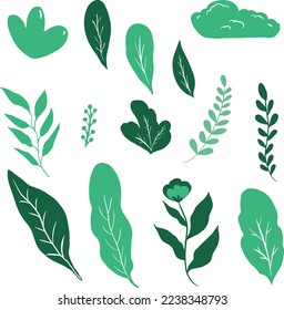 set of beautiful green leaves