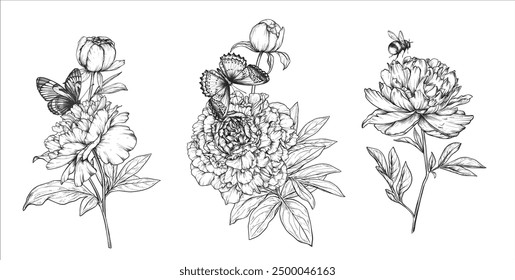 Set of beautiful hand drawn vector composition with black and white blooming peonies and other garden flowers, bumblebee, butterfly.