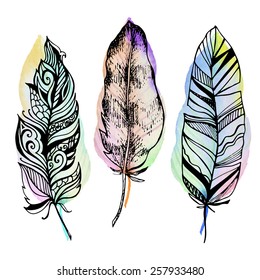 Set of beautiful isolated hand drawn watercolor style sketch feather icons - vector illustration