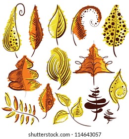 Set of beautiful leafs