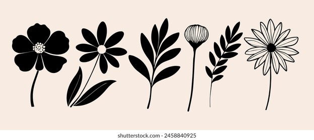 Set of beautiful leaves plants, leaves, flower design. Vector illustration