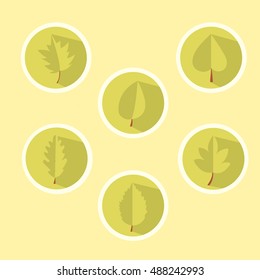 set of beautiful leaves in the style of flat for design, simple forms of two-dimensional image