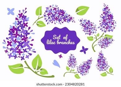 Set of beautiful lilac branches in vector. Flat style.