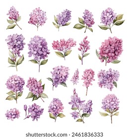 Set of Beautiful Lilac Flower Watercolor Clipart