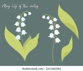 Está rodeado de hermosas lirios de mayo del valle con hojas. Ilustración vectorial. Flores de bosque aisladas para diseño, postales, decoración y decoración, impresión