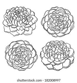set of beautiful monochrome, black and white flower isolated on white background.