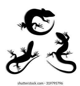 Set of Beautiful monochrome lizard, lizard silhouettes. Salamandra silhouettes. Gecko Silhouettes. Vector illustration