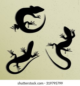 Set of Beautiful monochrome lizard, lizard silhouettes. Salamandra silhouettes. Gecko Silhouettes. Vector illustration