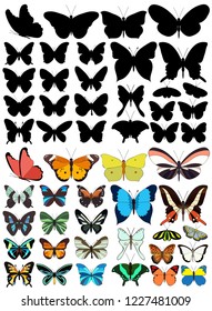 set of beautiful multicolored butterflies