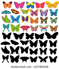  set of beautiful multicolored butterflies