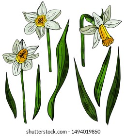 Set of beautiful narcissus flowers for cards, posters, textile etc. Cartoon narcissus vector illustration