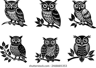 set of beautiful owls vector illustration