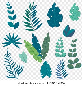 set of beautiful palm leaves on a transparent background, vector illustration in flat style