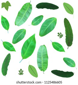 Set of Beautiful Palm Tree Leaf Silhouette Background Vector Illustration. EPS10