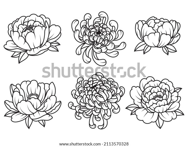Set of beautiful peony.\
Collection of peony flower buds and leaves. Botany. Design for a\
t-shirt. Wedding flower. Vector illustration of floral decoration\
for print.