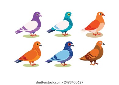 A set of beautiful pigeons vector art illustration 