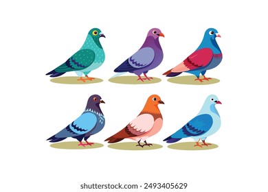 A set of beautiful pigeons vector art illustration 