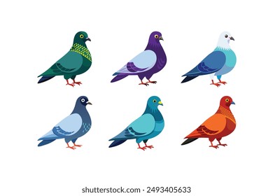 A set of beautiful pigeons vector art illustration 