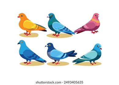 A set of beautiful pigeons vector art illustration 
