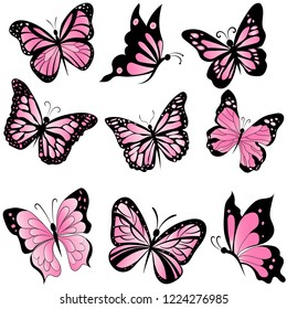 conjunto de bellas mariposas rosas, vector de insectos