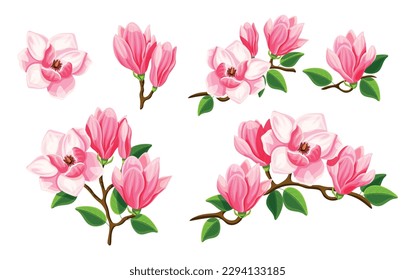 Set of beautiful pink magnolias in cartoon style. Vector illustration of spring and summer flowers in large and small sizes with closed and open buds with green leaves on a white background.